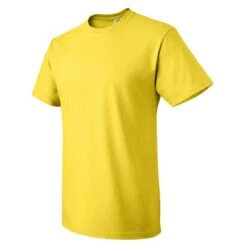 Fruit Of The Loom Men's Yellow HD Cotton Short Sleeve T-Shirt -Best Clothing Shop 3930R Yellow S