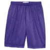 Sport-Tek Men's Purple Long PosiCharge Classic Mesh Short